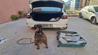 Balıkesir polisinden Narkorekor