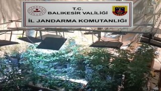 Balıkesirde jandarmadan uyuşturucu serasına çevrilen evlere baskın: 12 gözaltı