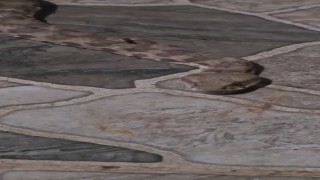 Balkona çay içmeye çıktı, karşısında dev yılanı görünce donakaldı
