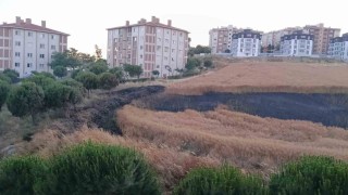 Bandırmada buğday tarlası yangını korkuttu
