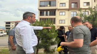 Başkan Çetinkayadan Belen TOKİye tema park müjdesi