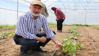 Başkan Çolakbayrakdar: Şehrin merkezinde tarım yapıyoruz, Türkiyeye örnek oluyoruz