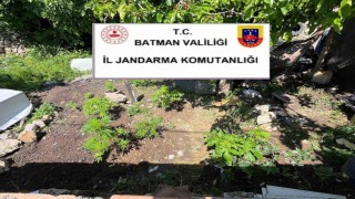 Batmanda uyuşturucu ve kaçak ürün operasyonu
