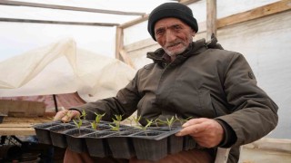Bayburtlu çiftçi memleket meselesi gördüğü ata tohumlarını gelecek kuşaklar için çoğaltıyor