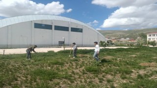 Bayburtta öğrenciler ‘Yeşil Vatan için fidan dikti