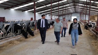 Beylikova Kaymakamı Kantilav, hayvancılık faaliyetlerini inceledi