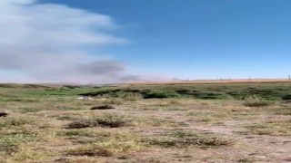 Biçerdöverden çıkan kıvılcım 150 dönümlük alanı kül etti