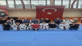 Bilecikli tekvandoculardan madalya yağmuru