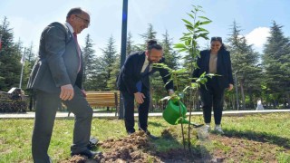 Bilecikte Kampüsü Ağaçlandırıyoruz sloganıyla fidanlar toprakla buluştu