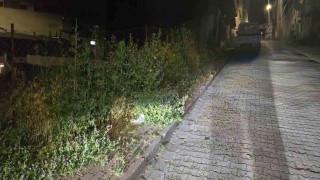 Bilecikte vatandaşlar otlardan kaldırımda yürüyemiyor