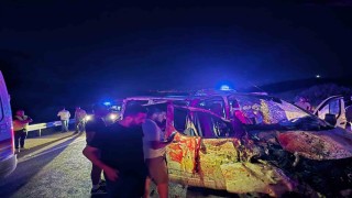 Bingölde panelvan yola çıkan ata çarptı: 1 ölü, 2 yaralı