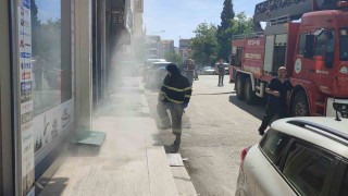 Bodrum katta çıkan yangında 4 kedi son anda kurtarıldı