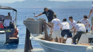 Bodrumda 2 bin metrekare hayalet ağ temizlendi, binlerce yavru balık doğaya bırakıldı