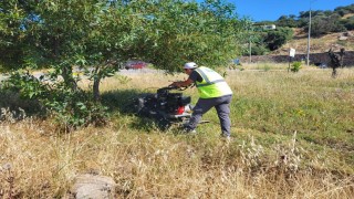 Bodrumda ot temizliği çalışmaları tüm hızıyla devam ediyor