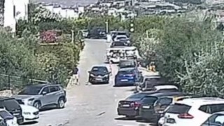 Bodrumdaki köpek davasında sanık beraat etti
