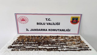 Boluda yabani salep toplayan 3 kişiye rekor ceza: 2 milyon 97 bin TL