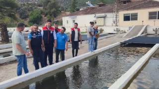 Bozdoğanda su ürünleri üretimi 3 bin 696 tona ulaştı