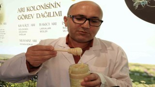 Bu da beyaz bal: Gören önce inanmıyor ama tamamen gerçek ve doğal bal