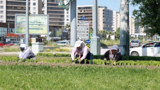 Bu yaz Osmangazide çiçek kokuları eksik olmayacak