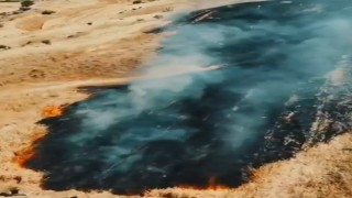 Buğday tarlası yangında zarar gördü