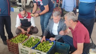 Buharkentte ilekler, tezgahta incelendi