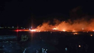 Burhaniyede korkutan örtü yangını