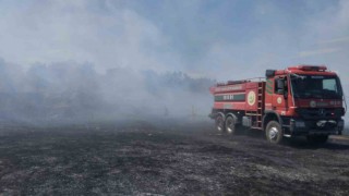 Burhaniyede örtü yangını zeytinliklere sıçramadan kontrol altına alındı