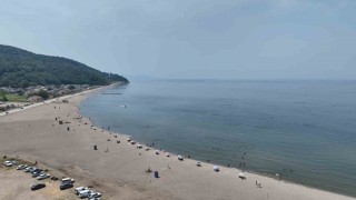 Bursa sahillerinden sevindiren haber