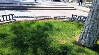 Büyükkılıçtan kamu malına duyarlılık çağrısı