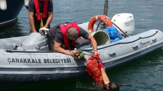 Çanakkale Yat Limanında yüzey ve dip temizliği
