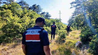Çanakkalede orman yangınlarına karşı jandarma ekipleri sahada