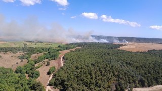 Çanakkalede tarım arazisinde başlayan yangın ormana sıçradı