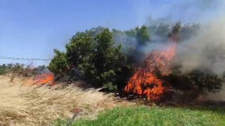 Çanakkalede tarım arazisinde yangın