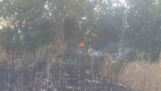 Çanda tarla yangınında 2 ekili alan kül oldu