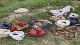 Çankırıda izinsiz salep toplayan 10 kişiye 6 milyon 992 bin TL ceza