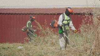 Çayırovada yabani ot temizlik çalışmaları sürüyor