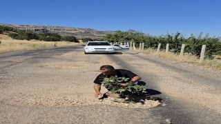 Çermikte oluşan çukurlara ağaç dikerek yolların yapılmamasını protesto ettiler