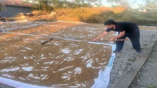 Çiçekdağı ilçesinde geleneksel bulgur yapımı başladı
