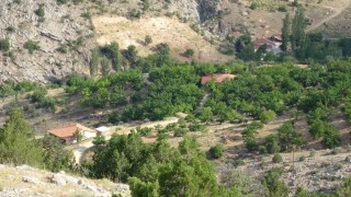 Cinayete kurban giden Aysel Yıldırım için 1600 rakımlı dağlık alanda arama