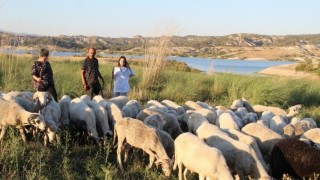 Çobanlık yaparken 2 dil öğrendi, üniversiteyi birincilikle bitirdi