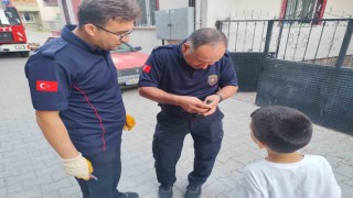 Çorumda çatı kenarına sıkışan kuşu itfaiye kurtardı