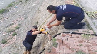 Çorumda çaya düşen kediyi itfaiye kurtardı