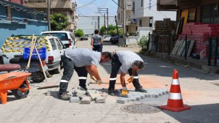 Darıcada 100 kişilik ekiple yaz temizliği sürüyor