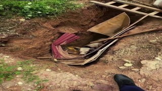 Definecilerin kazdığı çukura düşen büyükbaş hayvan operasyonla kurtarıldı