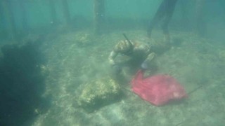 Deniz dibi temizliği Gümüşlükte devam etti