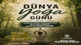Denizli, Dünya Yoga Gününde Çamlıkta buluşacak