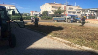 Didim Belediyesi yeşil alanlarda bakım çalışmalarını sürdürüyor