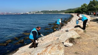 Dilovasında Marmara Denizi için sahil temizliği yapıldı