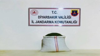 Diyarbakırda 10 kilo esrar ele geçirildi