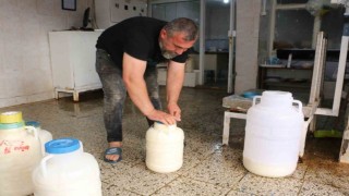 Diyarbakırda kışlık peynir mesaisi başladı
